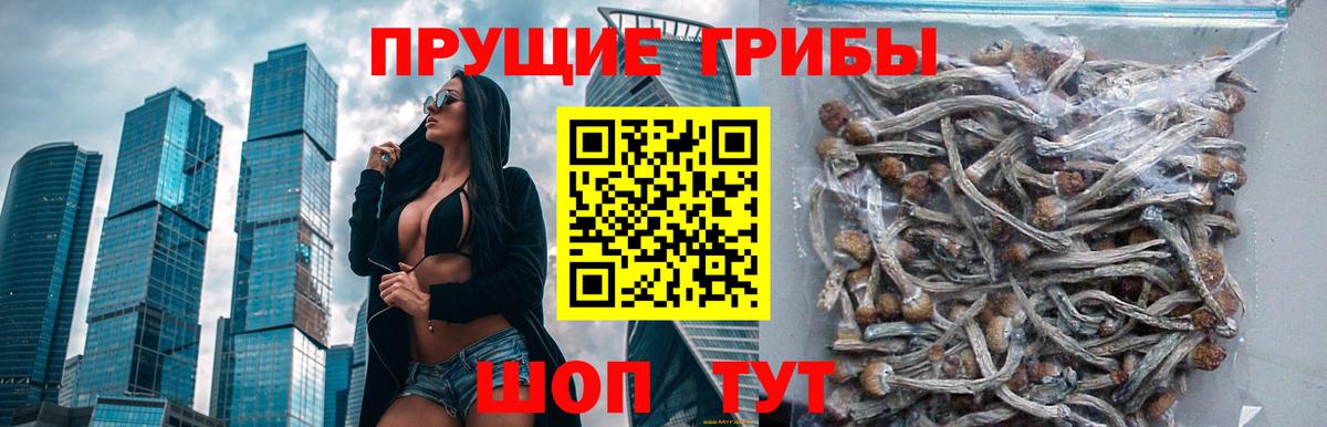 Галлюциногенные грибы мицелий  Вход с VPN  Красногорск 